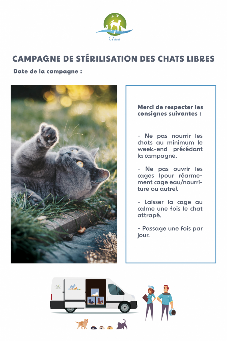 Affiche-INFO - Chats libres Gironde -1--2.png